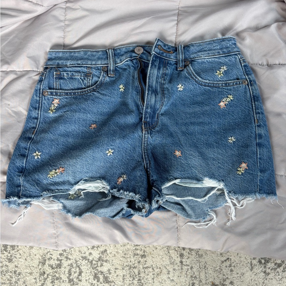 American Eagle Outfitters Floral Embroidered Denim Shorts